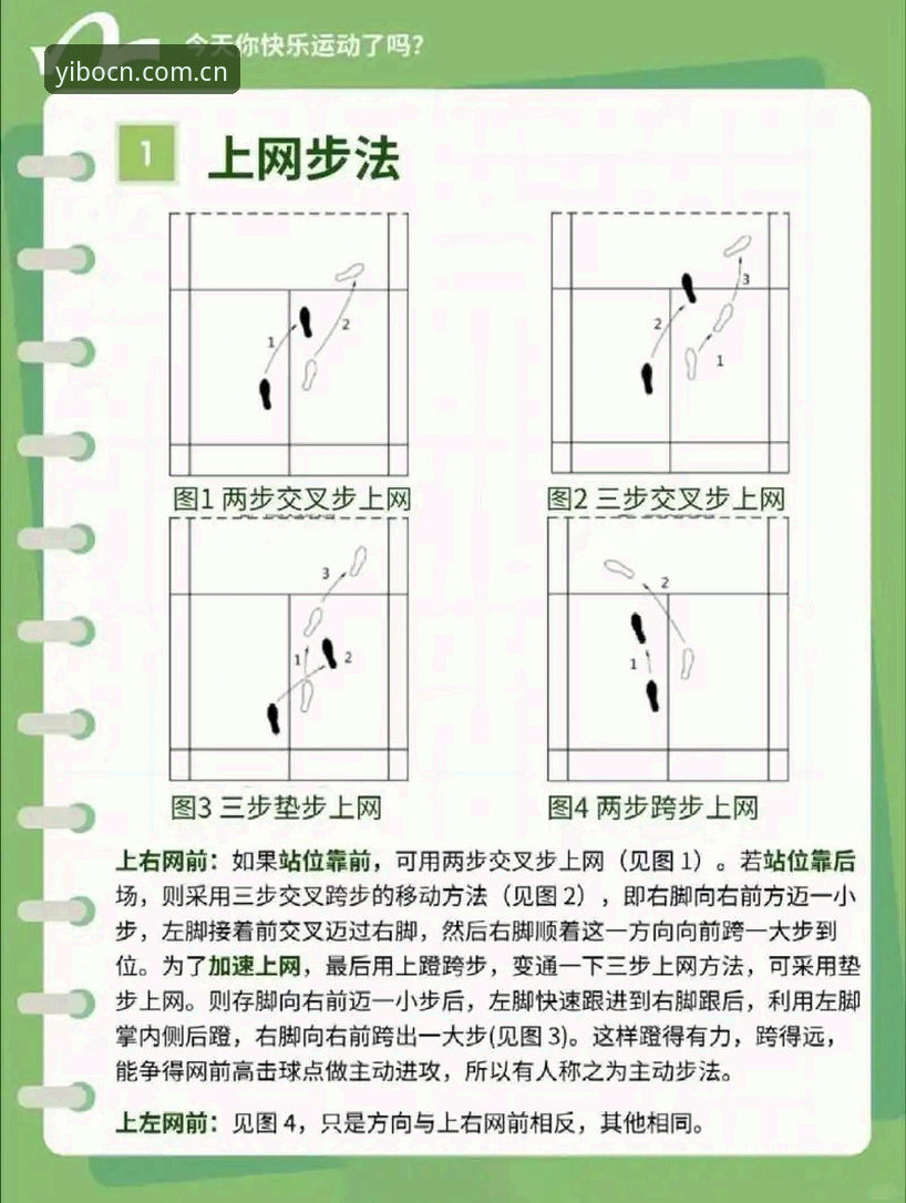 体育官网入口yibo上手实操教程：从数据流验证到2026版本部署的完整路径